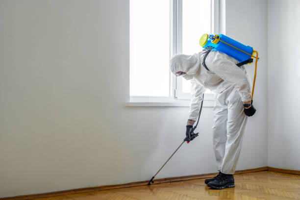 Best Affordable Pest Control Services  in Greensburg, IN