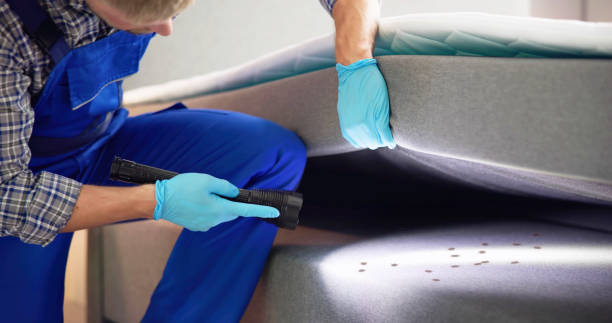 Best Pest Control Treatment  in Greensburg, IN