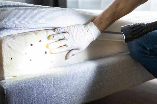 Best Best Pest Control Near Me  in Greensburg, IN